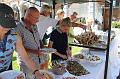 MG Day 21-7-2017 org. MGCLLimburg_(266)
